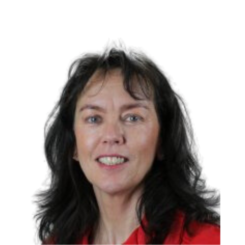 Ellis Buis – IPV Training & Advies Ellis Buis - IPV Training & Advies